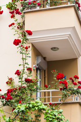 Naklejka premium balcony with roses