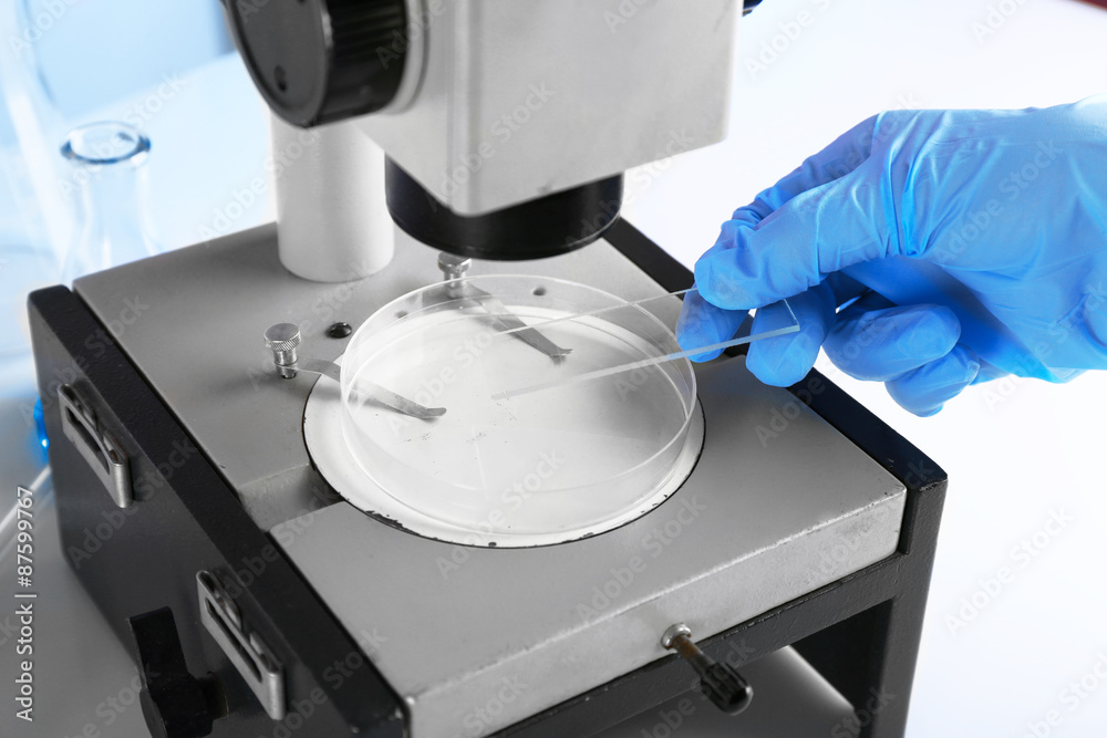 Wall mural scientist working with microscope in laboratory