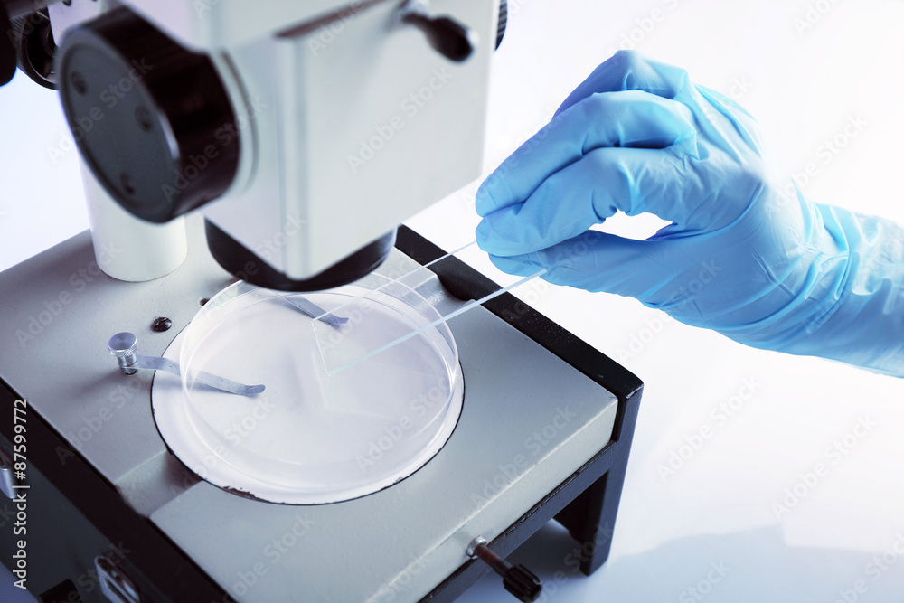 Wall mural scientist working with microscope in laboratory