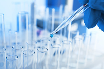 Scientist working in laboratory