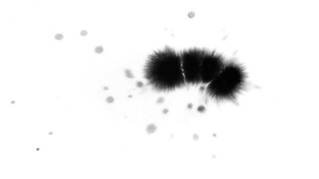 Ink splodges on a white paper