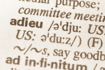 Dictionary definition of word adieu