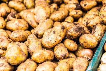  potatoes 