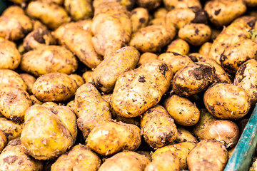  potatoes 