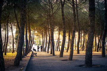 Parque Liana Móstoles