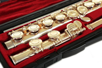 Flute in case close up