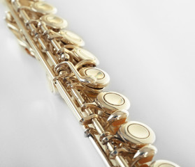 Fototapeta premium Flute isolated on white