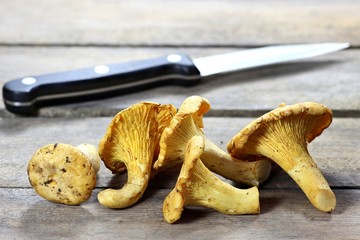 frische Pfifferlinge mit kleinem Küchenmesser auf rustikalem Holzhintergrund