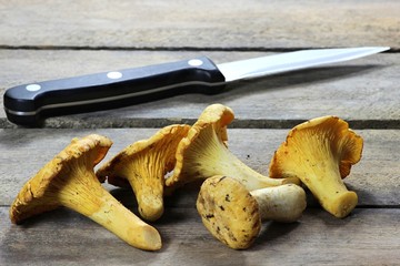 frische Pfifferlinge mit kleinem Küchenmesser auf rustikalem Holzhintergrund