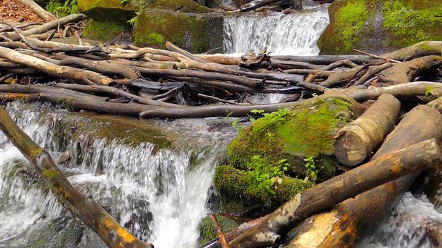Waterfall in the mountains near the village Pylypets, Carpathians
(slow motion)
