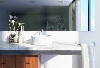 Fototapeta na wymiar Modern Architectural Home Washroom Interior Design