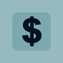 Pale blue dollar icon