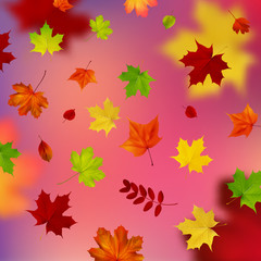 colorful background with autumn leaves
