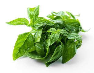 Green fresh basil isolated on white