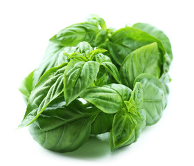 Green fresh basil isolated on white