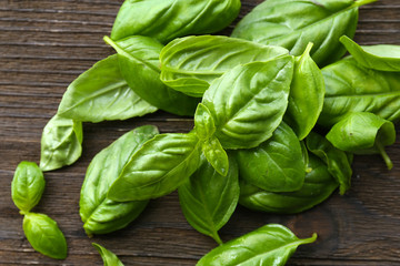 Green fresh basil on wooden background