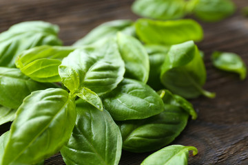 Green fresh basil on wooden background