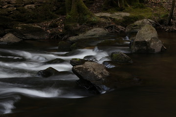 Fototapeta premium rivière La Lesse
