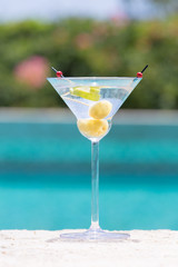 Glass of dry martini cocktail