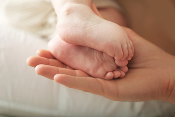 Adult hand holding baby feet, closeup