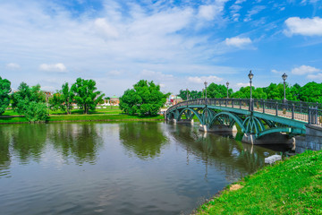 Fototapeta na wymiar River and bridge in summer park