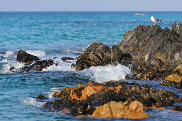 Coastal rocks of Socotra island in the rays of the setting sun.