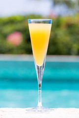 Glass of Bellini
