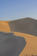 Fototapeta na wymiar Family on the sand dunes