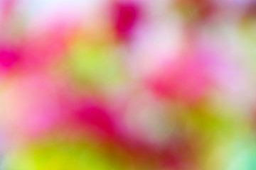 Natural colorful blurred background