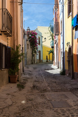 Obraz premium Narrow street flowered