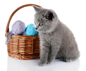Fototapeta na wymiar Cute gray kitten and wicker basket with skeins of thread isolated on white