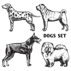 Sketch Dogs Portrait Set