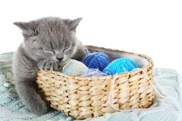 Fototapeta na wymiar Cute gray kitten in wicker basket with skeins of thread on warm plain isolated on white