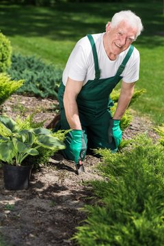 Smiling retiree caring about plants