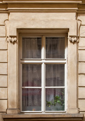 Window with a Curtain