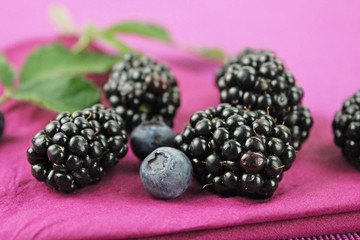 Waldbeeren - Blaubeeren und Brombeeren auf lila Serviette mit Brombeerblättern