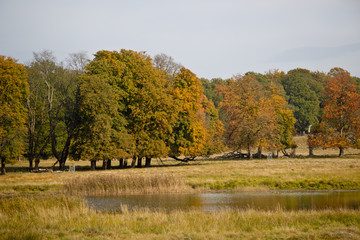 beautiful lake in Dyrehave park, Denmark