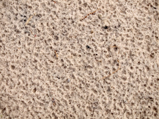 sand background