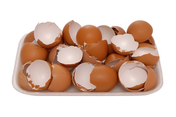 egg shell