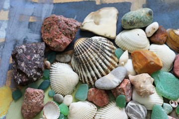 beautiful little stones and sea shells
