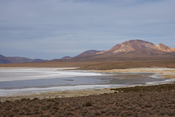 Salar de Surire, a salt lake over 4,000 metres high on the Altiplano of northern Chile in Vicunas...