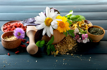 Herbs, berries and flowers on color  wooden table background