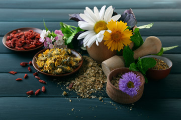 Herbs, berries and flowers on color  wooden table background