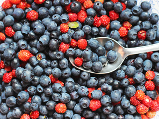 bilberry and wild strawberry mix
