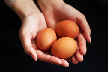 eggs in hands, Easter background