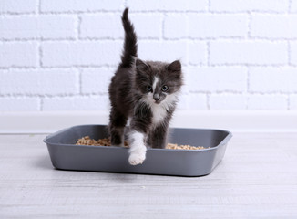 Naklejka premium Mały szary kotek w plastikowej ściółce kota na podłodze
