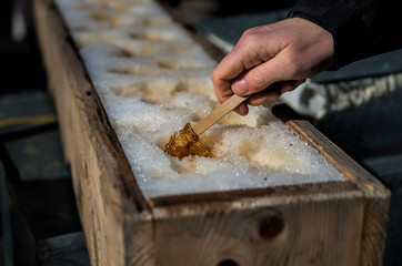 Hand picking maple sugar on snow