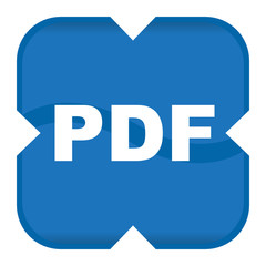 PDF ICON