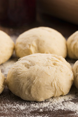fresh dough ready for baking