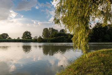 Fototapete bei efototapeten.de bestellen   